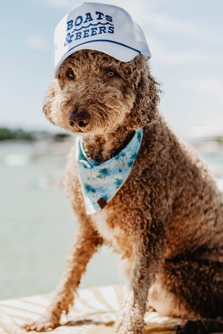 dog in hat Boats & Beers Trucker Cap — fun lake day hat with rope detail, perfect for boat outings and casual beer sipping by Onyx Native