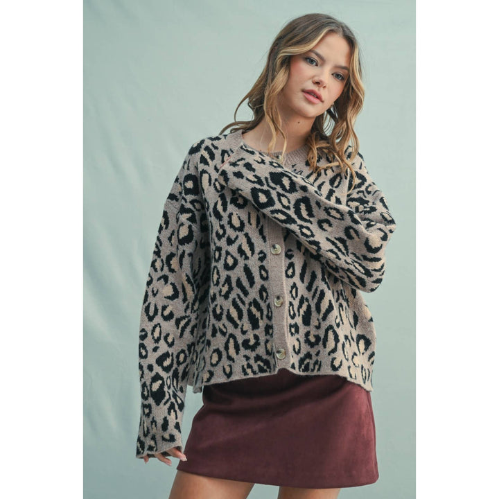 Lenny leopard sweater