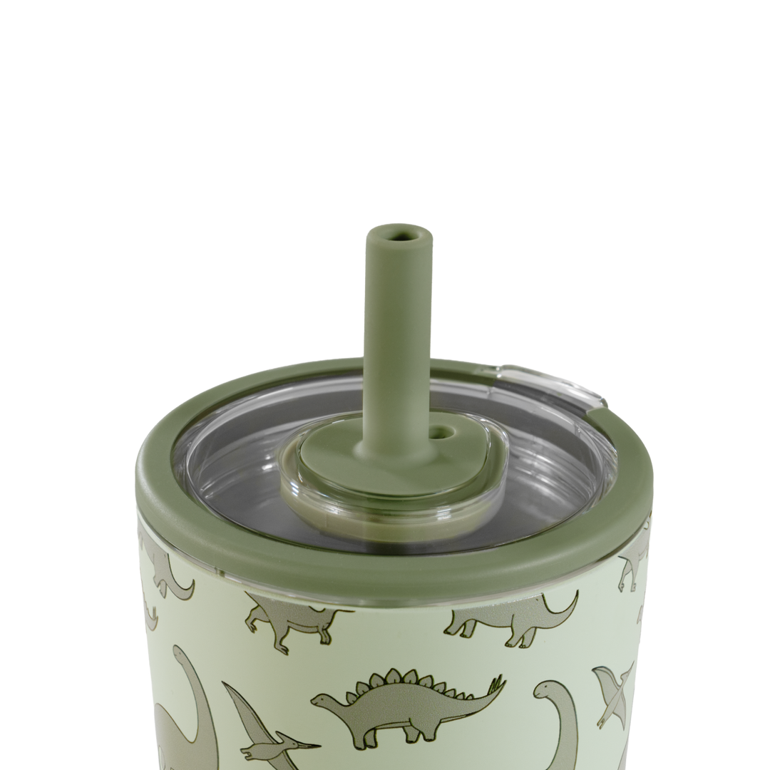 Dinosaur hydrojug every day tumbler