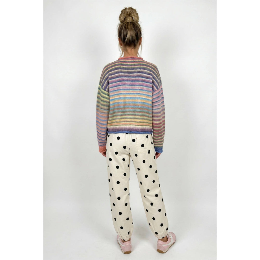Judy Multi color button up cardigan