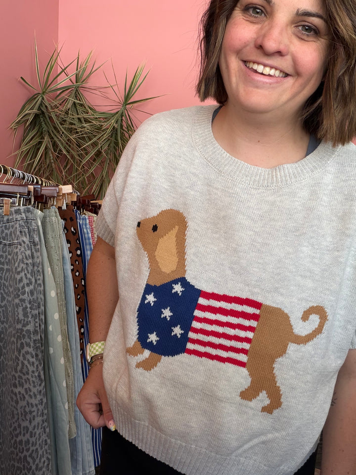 Patriot Winnie Sweater|Patriotic Weiner Dog sweater