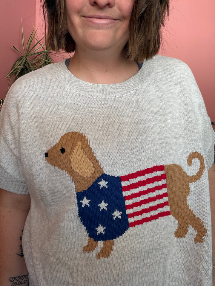 Patriot Winnie Sweater|Patriotic Weiner Dog sweater