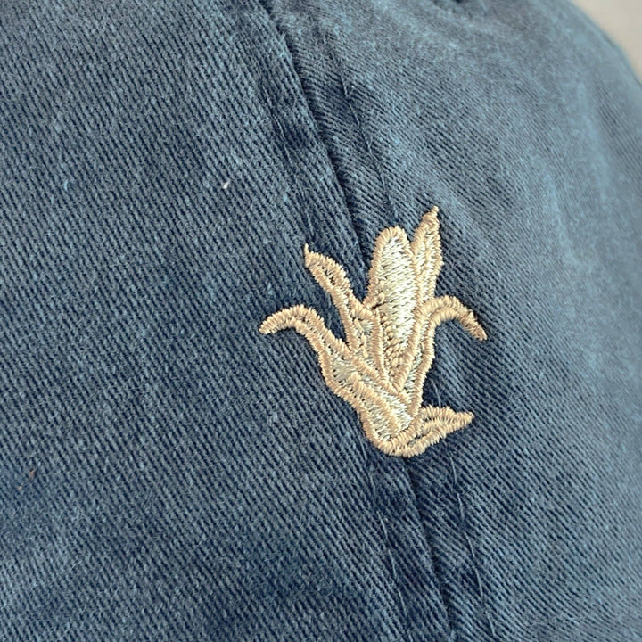 Ear of Corn